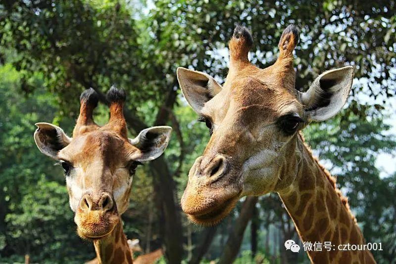 暖春出游季,暖春踏青季特惠