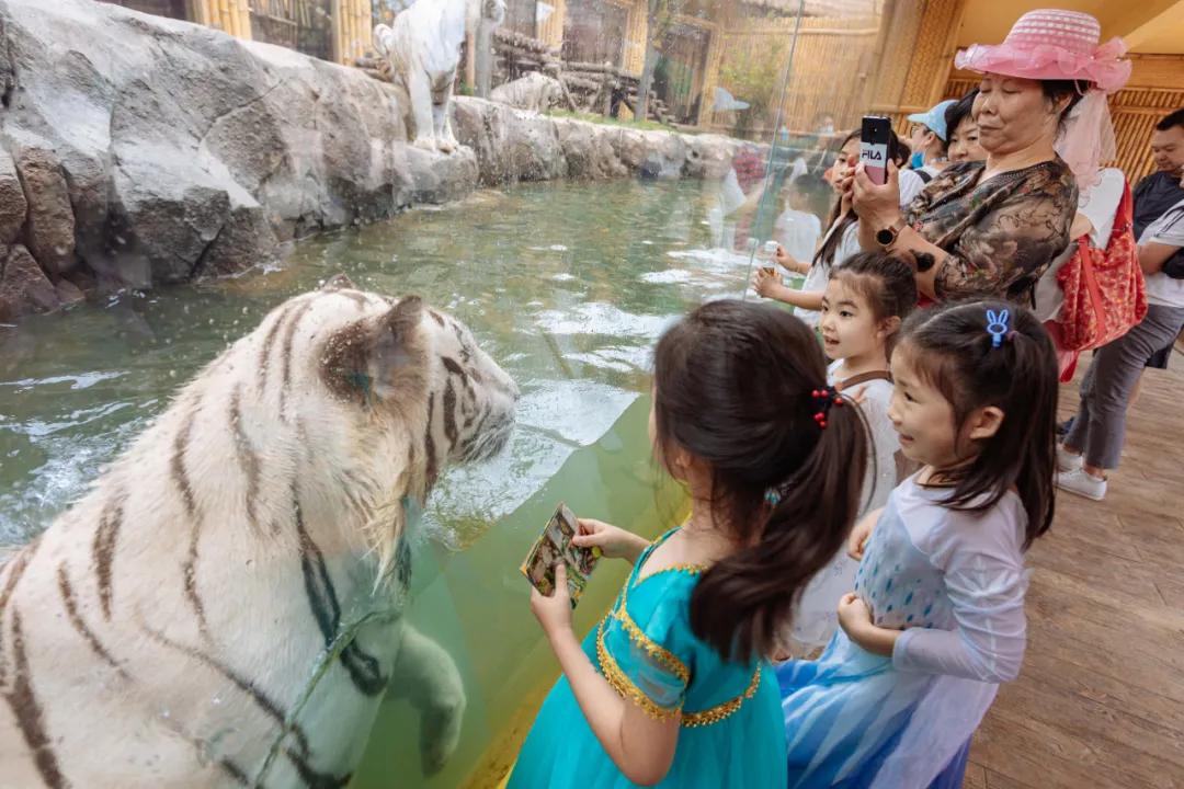 野生动物王国值不值得去,北方新开的动物王国