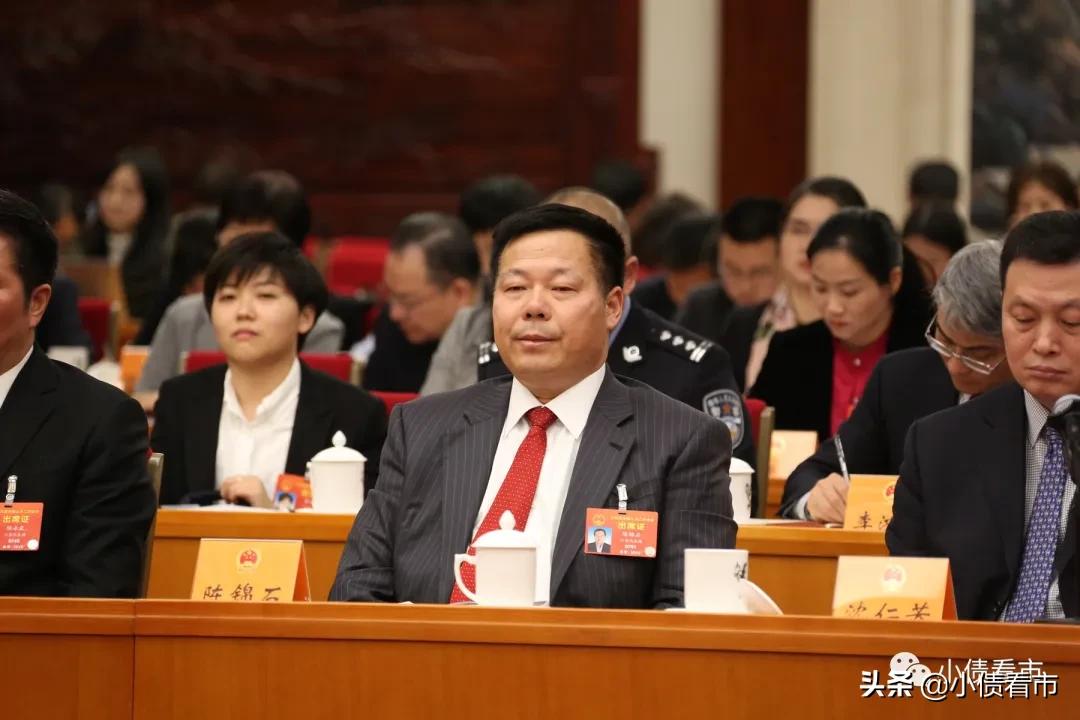 中南建设发债最新情况,中南建设有息负债