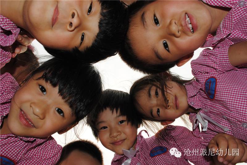 沧州派尼幼儿园学费,派尼幼儿园学费