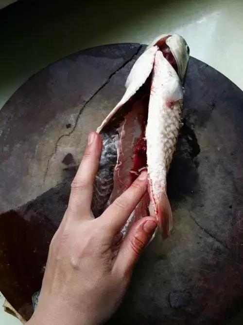 快死的鱼变活鱼，竟然只要往鱼嘴里加点这个就可以实现了