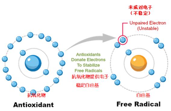 类风湿性关节炎中成药物,类风湿性关节炎的靶向治疗