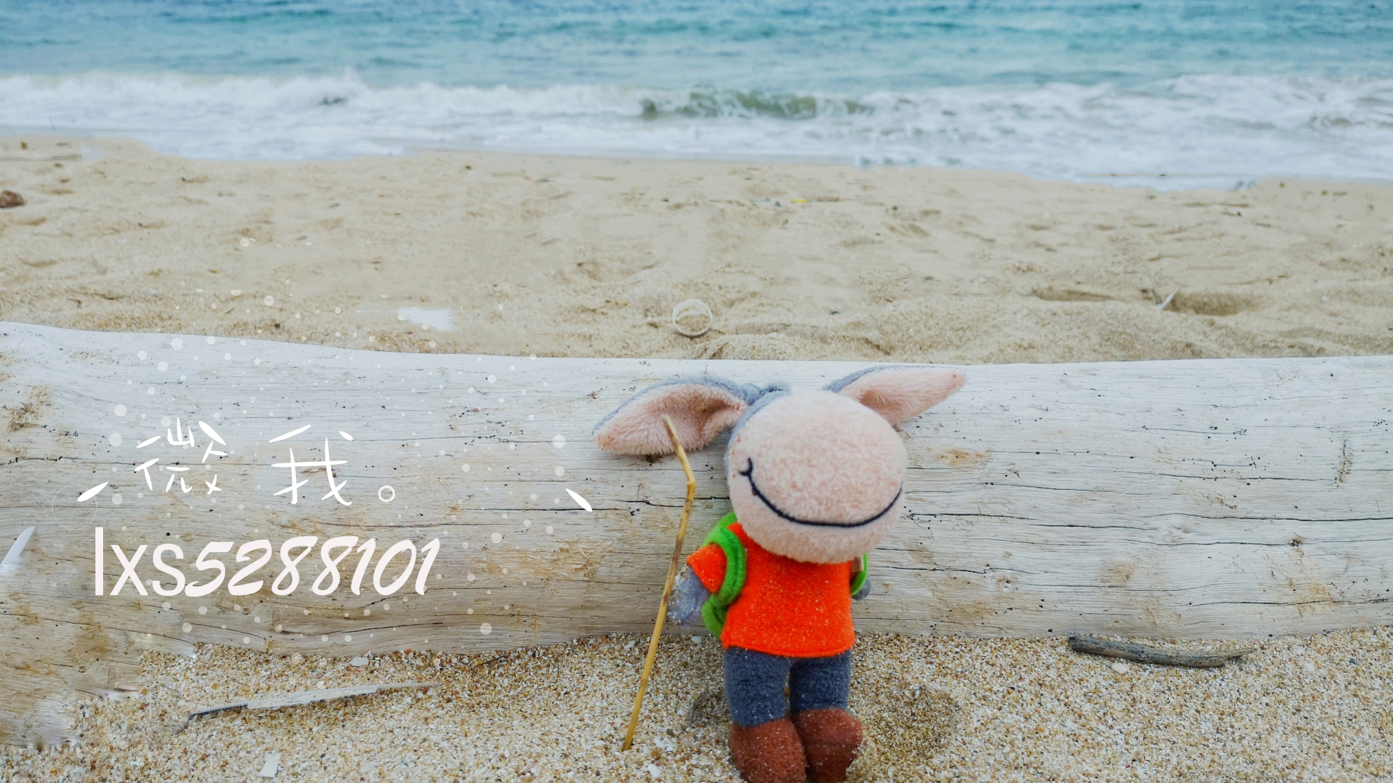 东莞市亲子旅行攻略最新,东莞市民周边亲子旅游