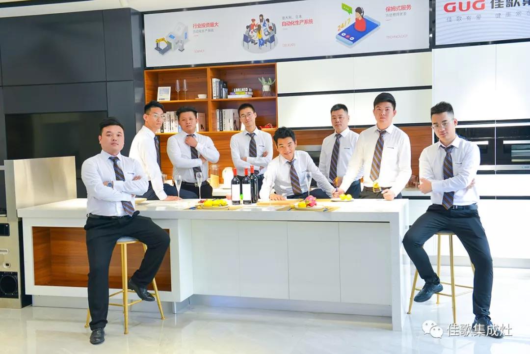 佳歌集成灶的排名,佳歌集成灶