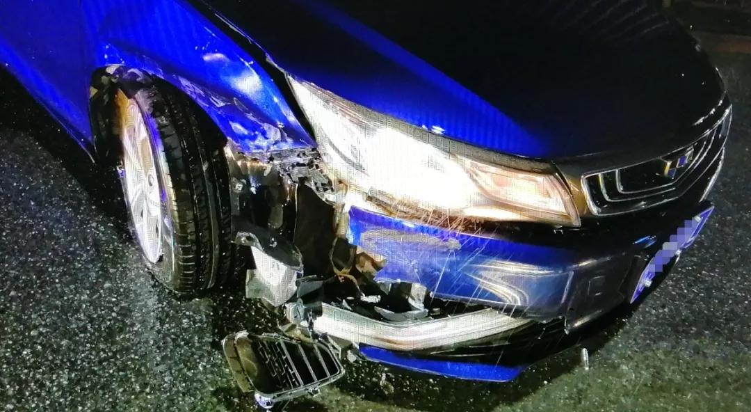 醉猫被逮捕,醉猫被警察抓视频