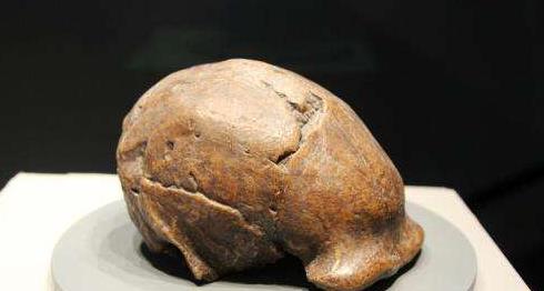 人类的祖先是怎样生活的60字,人类祖先最早发明的房子