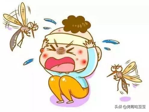 小宝宝被蚊子咬了怎么处理好一点,宝宝被蚊子咬了的处理方法