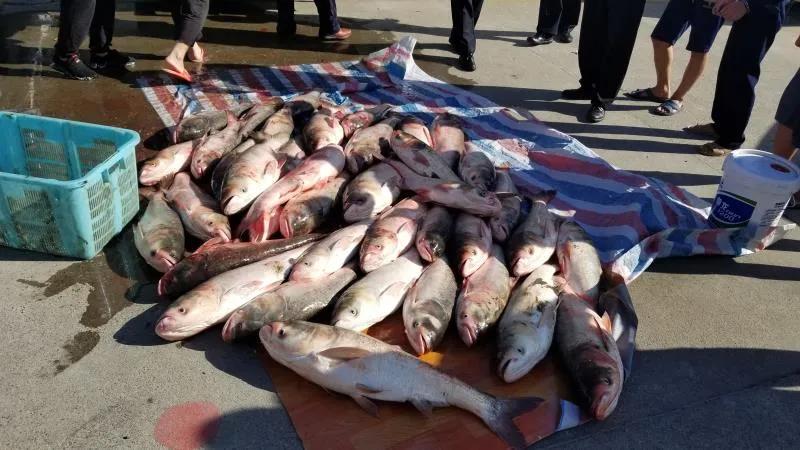 最高检长江经济带典型案例第三批,上海长江经济带