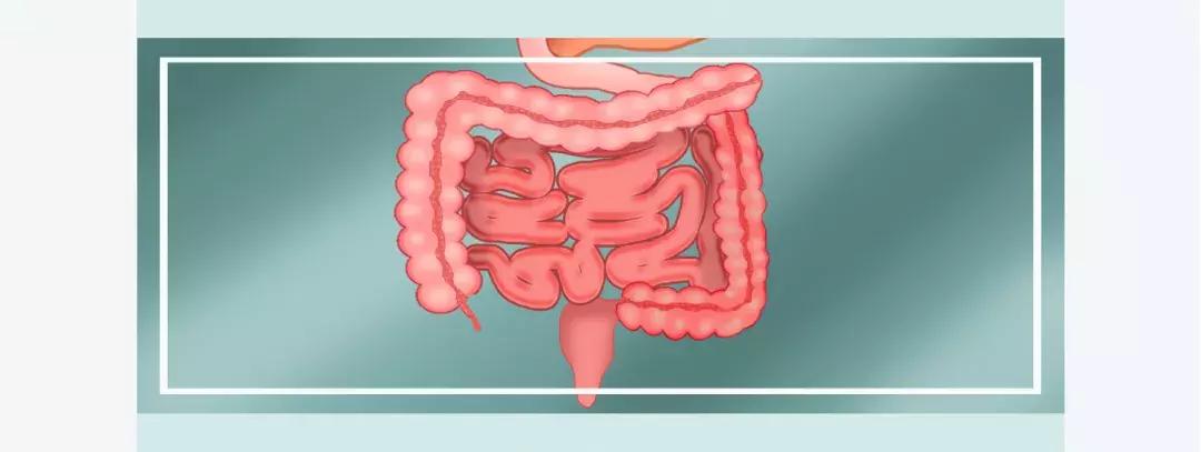真相酵素是包治百病的神药吗,酵素到底靠不靠谱