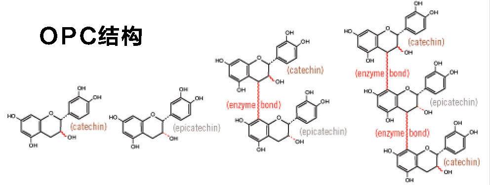 胶原蛋白葡萄籽和vc怎么吃,肌肤秘钥胶原蛋白葡萄籽