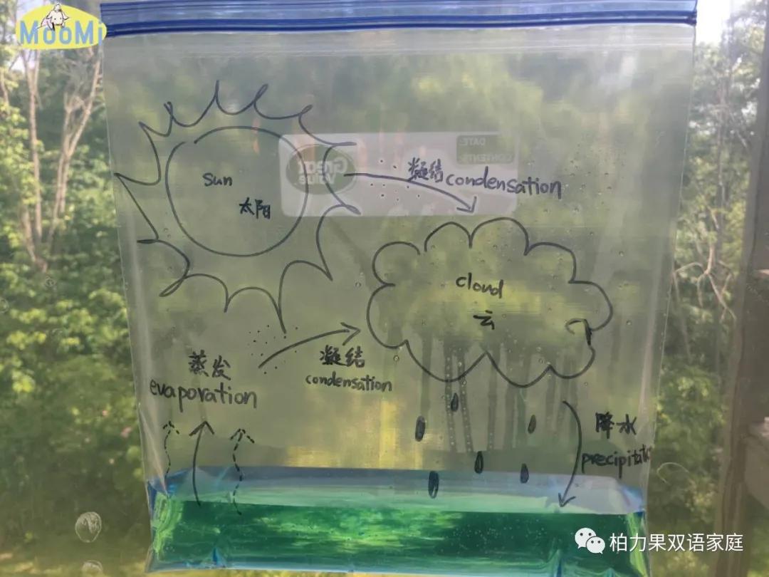 学天气知识,怎么学气象技巧