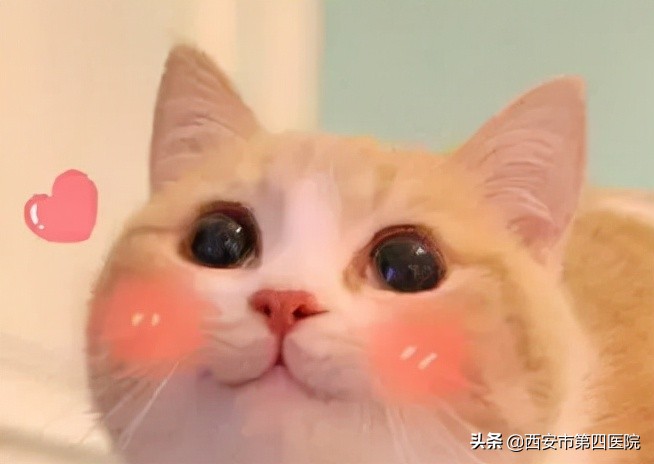 健康中国2030具体内容,健康中国行动2030