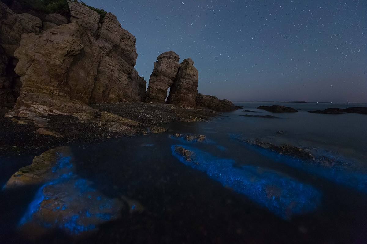 拍摄荧光海滩参数和技巧,夜晚怎么拍荧光海