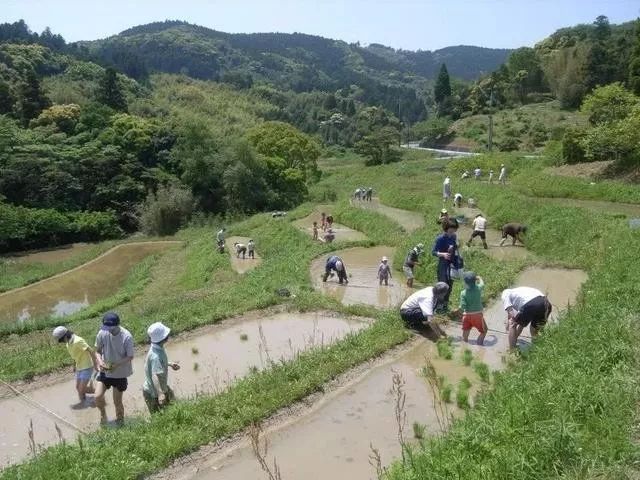 颠覆式农业技术,颠覆农业的技术