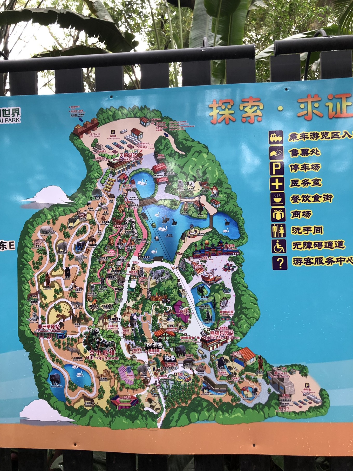 广州长隆四天三晚旅游推荐,4天去广州长隆和珠海看海怎么玩