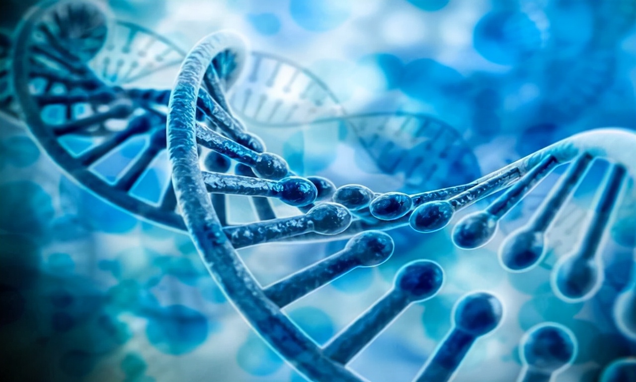 男性腿毛稀少是肾不好吗,男性腿毛少代表什么