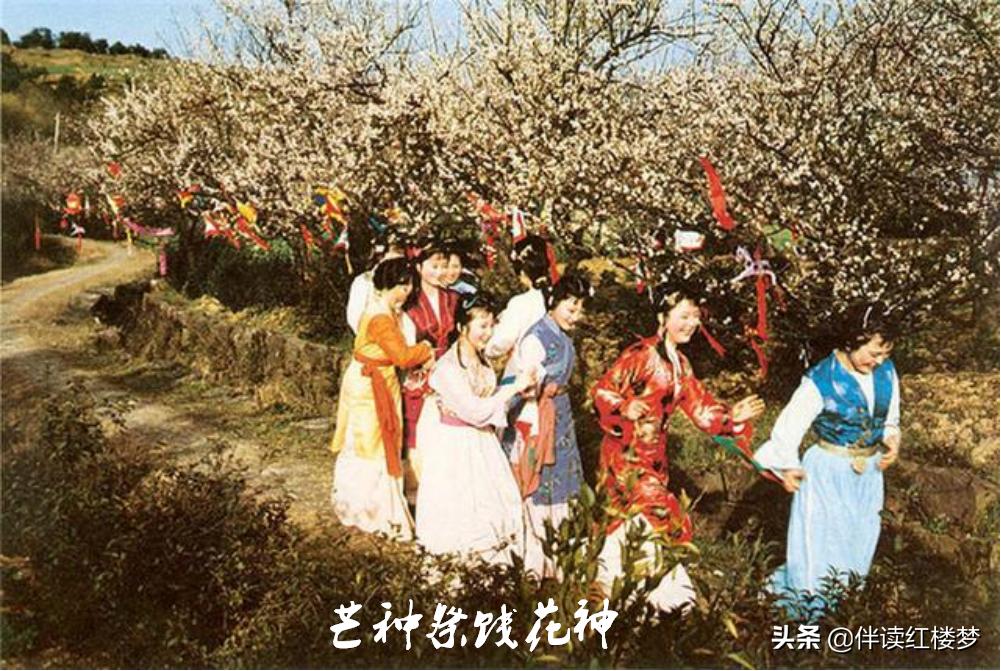 红楼梦第四十回牙牌令赏析,红楼梦第四十六回鸳鸯形象特点