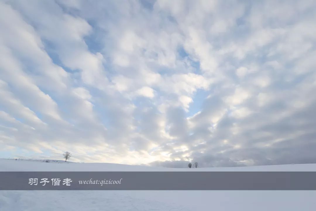 老实说，这一趟北海道就是为了拍好看的照片去的