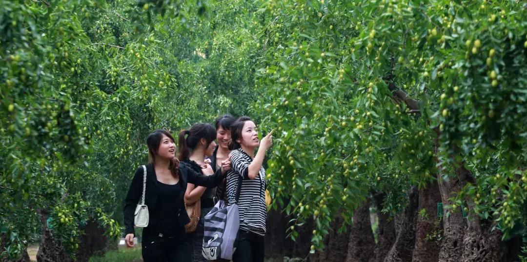 向外国人介绍郑州,郑州新郑市简介