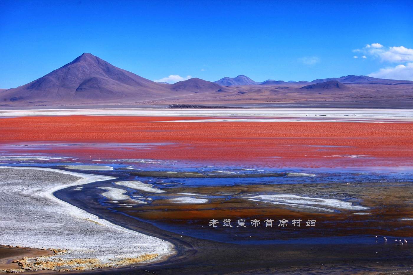 玻利维亚只看天空之镜？七彩湖火烈鸟4层楼高的仙人掌更精彩
