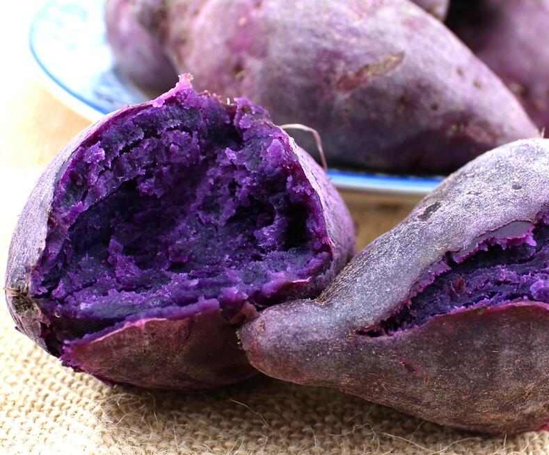 萨摩耶如何消除泪痕,萨摩耶有泪痕好治疗吗