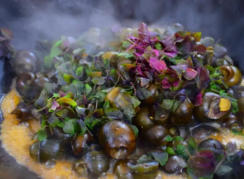 如果吃田螺田螺吸住了嘴怎么办,吃田螺吐了怎么办