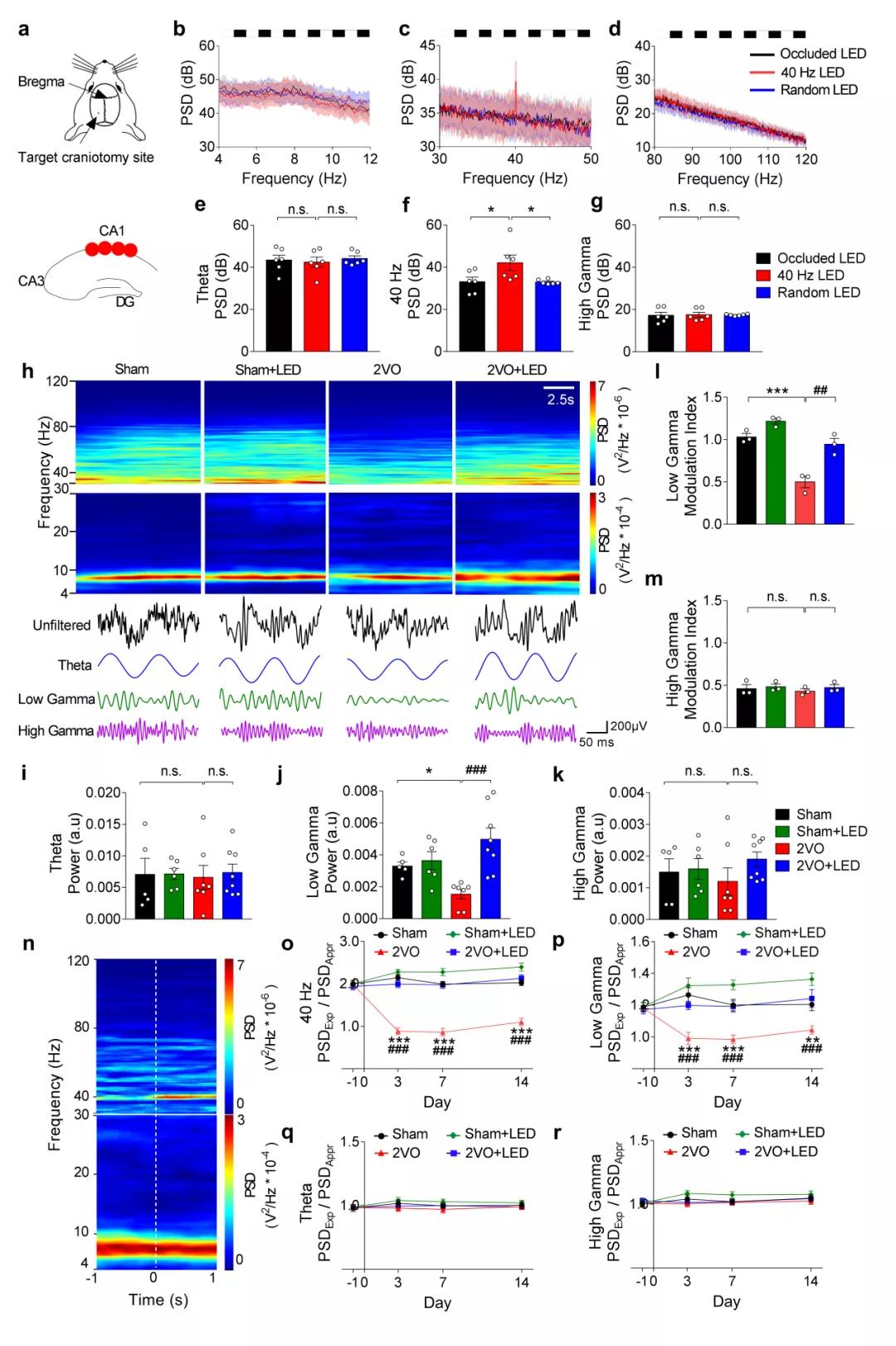 南科大教授讲座视频,南科大侯圣陶团队