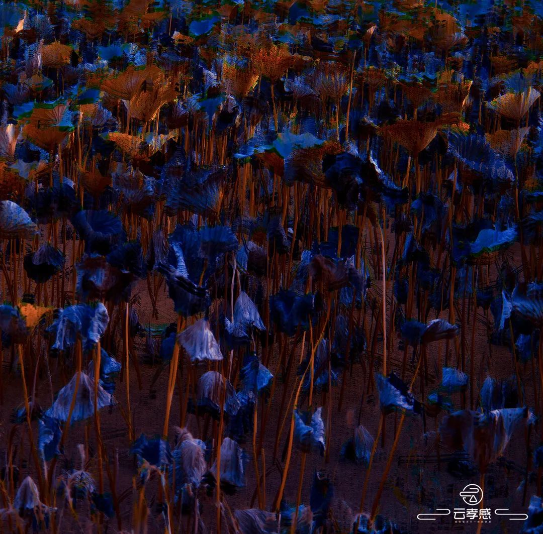 李鸿飞摄影作品初春,李鸿飞画家