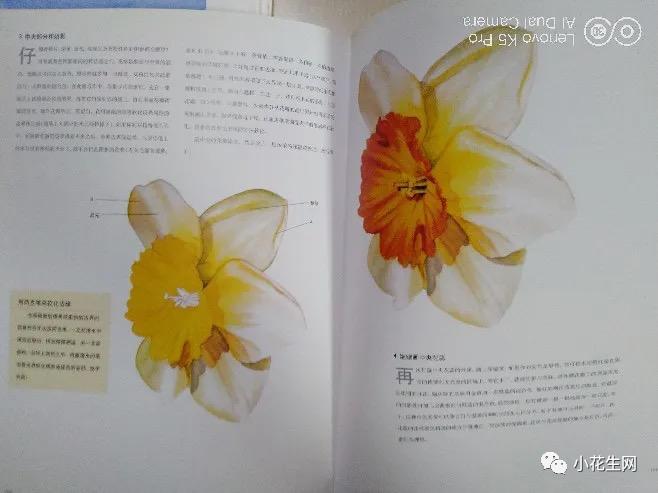 从零开始学绘画简单入门教程,从零开始学绘画必备的画