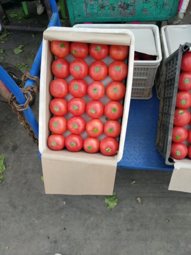 武汉四季美红薯农贸市场,武汉白沙洲四季美蔬菜批发