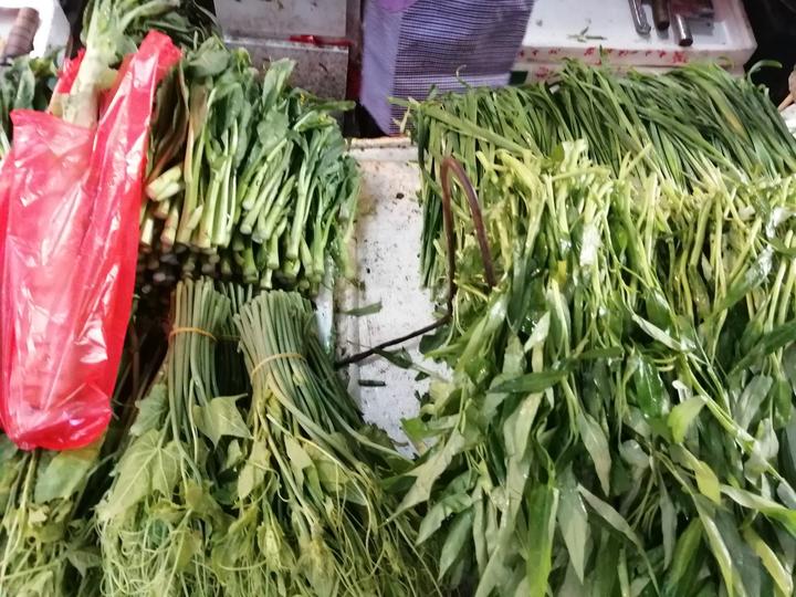 南宁市近期蔬菜涨价何时能解决,疫情后南宁菜价上涨原因