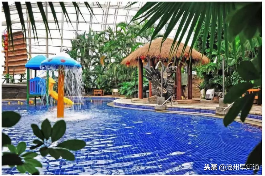 沧州旅游攻略必玩的景点冬天,沧州游玩攻略必去景点