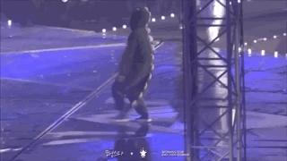 动物系内娱男爱豆,动物系爱豆完整版