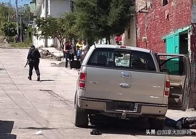 疫情下旅游胜地成杀人天堂32人死温哥华富豪尸体被冲上海滩