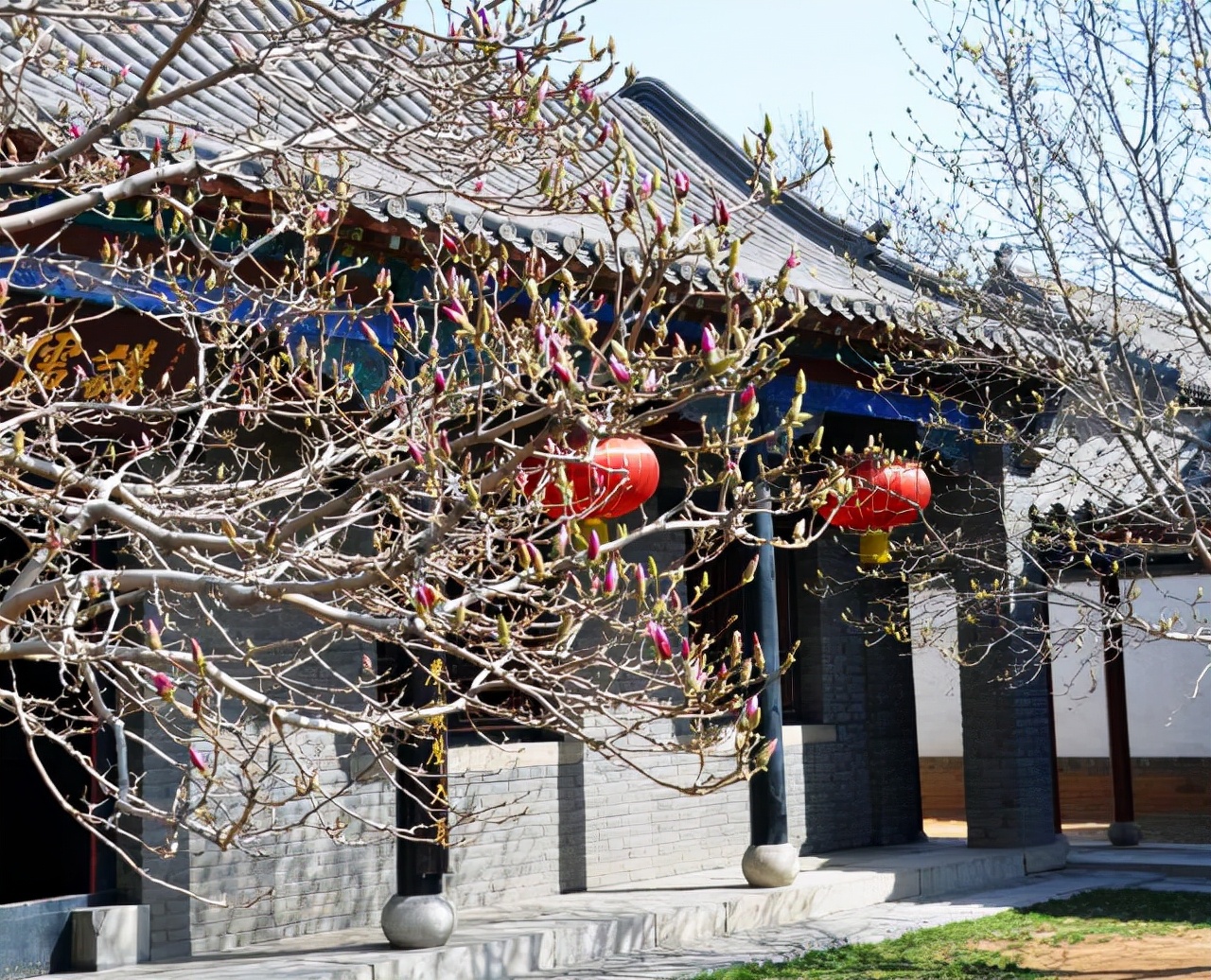 孟子曰富贵不能淫威武不能屈,孟子说富贵不能淫