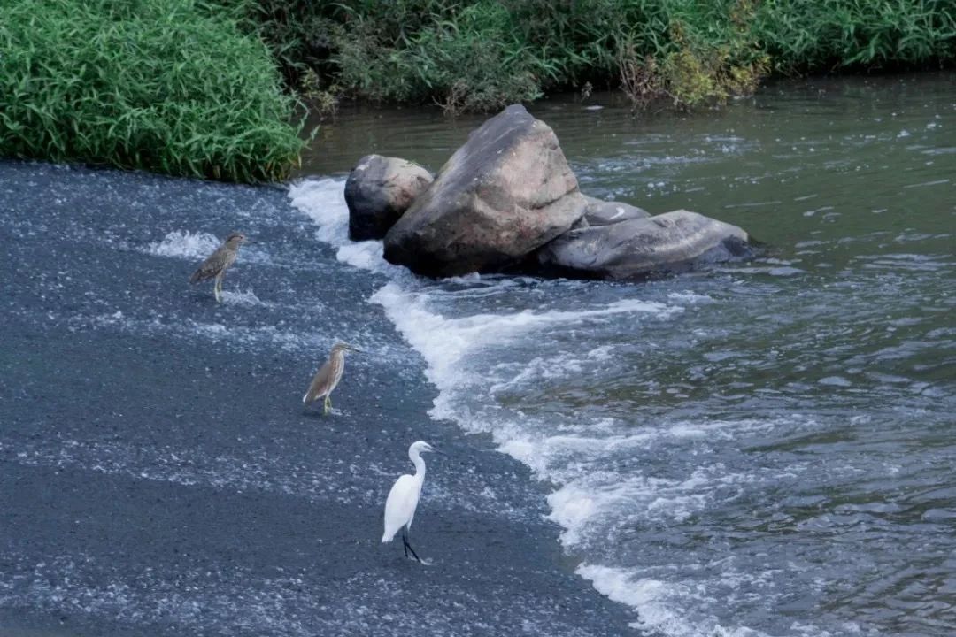 深圳3号线有哪些可以玩的,深圳7号线攻略