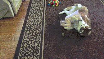 家有婴儿猫咪怎么办,家有宠物猫对婴儿有影响吗