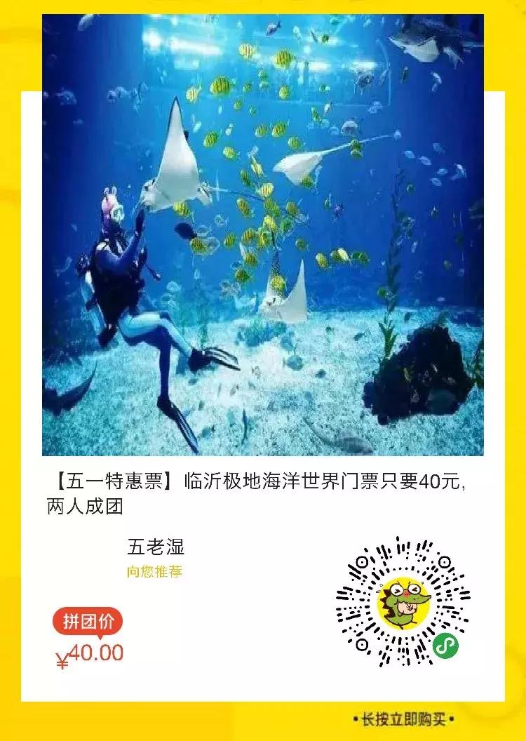 临沂极地海洋世界五一特惠,临沂极地海洋世界门票多少钱