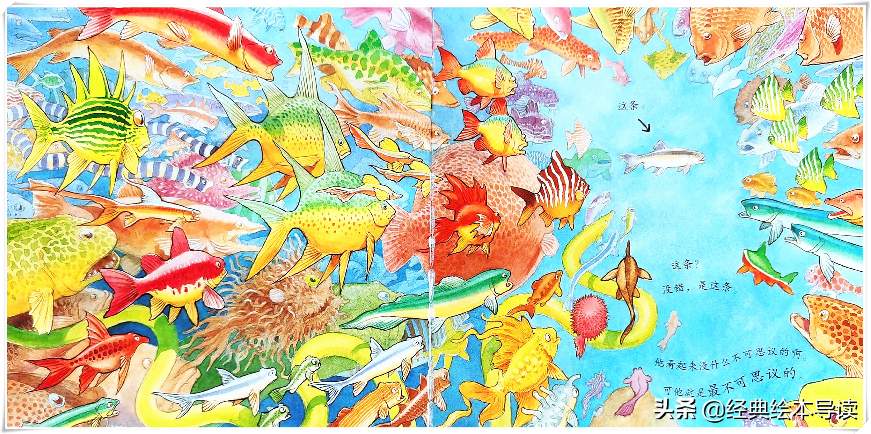 世界因此而改变——《一条聪明的鱼》导读