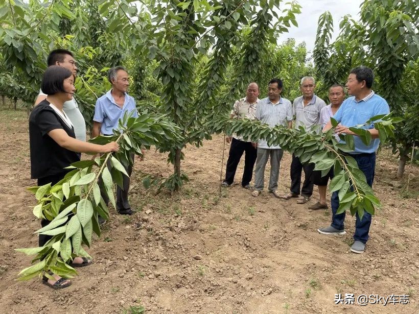 7万公里老款宝马x5,宝马x5的优缺点