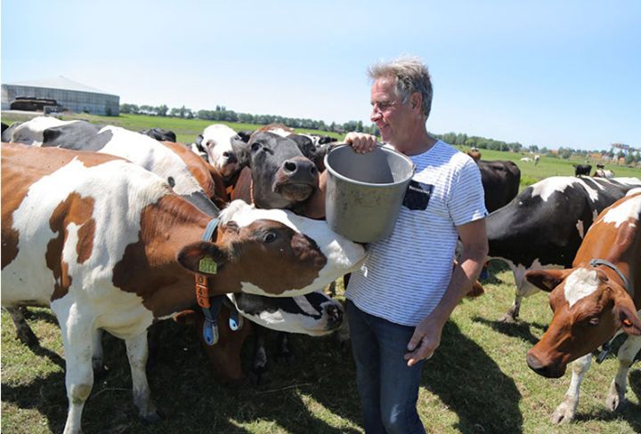 煎牛排爆油怎么办,煎牛排放黑胡椒容易糊吗