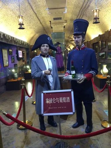 波尔多葡萄酒博物馆特点,了解葡萄酒用什么软件