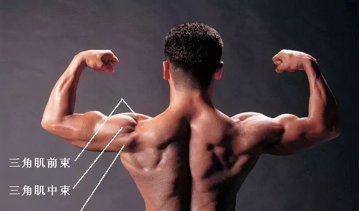 把肩膀练宽最快的方法,练肩膀宽最好的方法男生