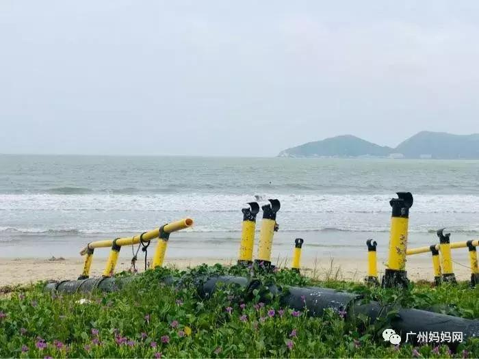 广州周末带娃避暑好去处,广州避暑亲子游好去处