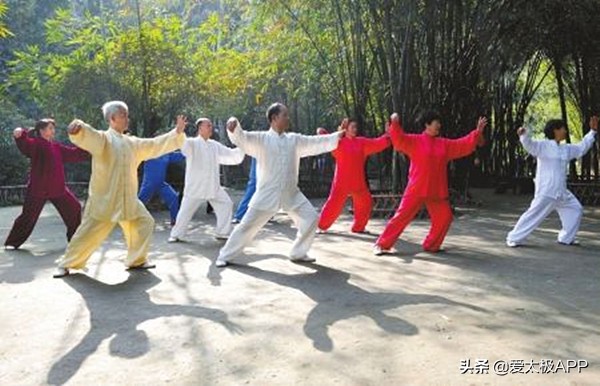 提脚不蹬太极拳是什么意思,太极拳提脚不蹬落地无声