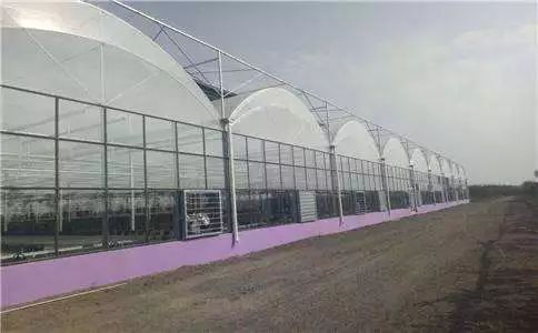10种常见温室大棚优缺点大合集,选大棚看这一篇就够了