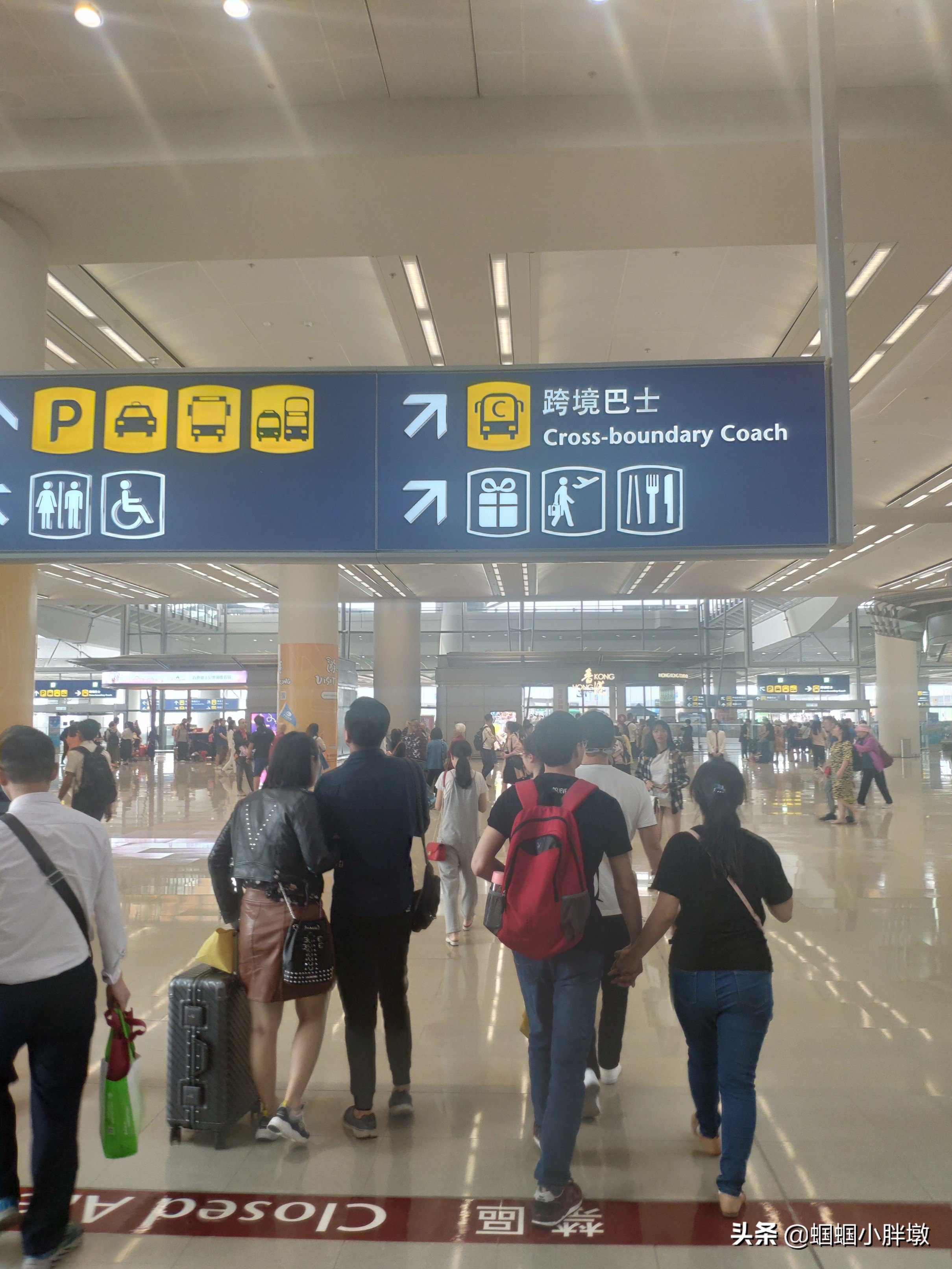 珠海香港旅游攻略自由行,香港珠海自驾过关攻略