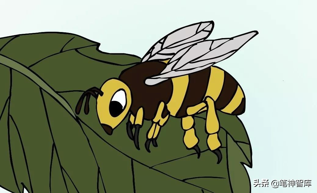 看图写话小蜜蜂采蜜该怎么写,看图写话蜜蜂写信