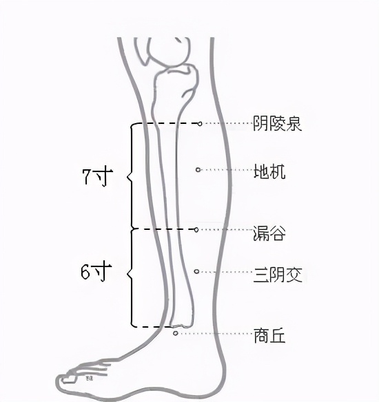 皮肤油腻毛孔粗大怎么解决,皮肤油腻毛孔粗大怎么调理