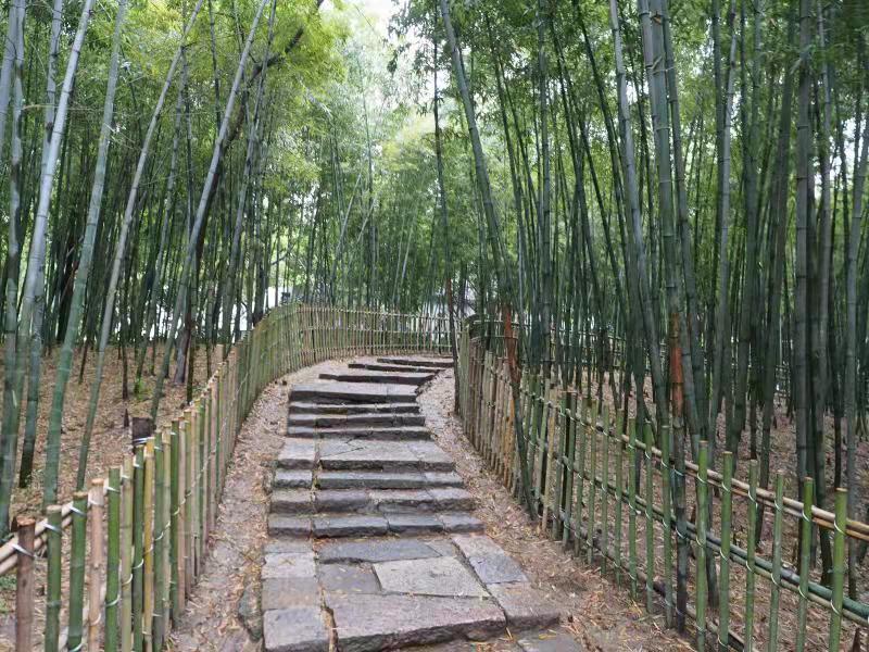 春节乌镇旅游攻略3天2晚,冬季乌镇旅游攻略3天2晚明细